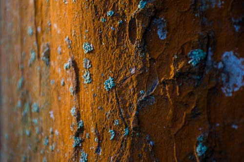 pexels photo 878167
